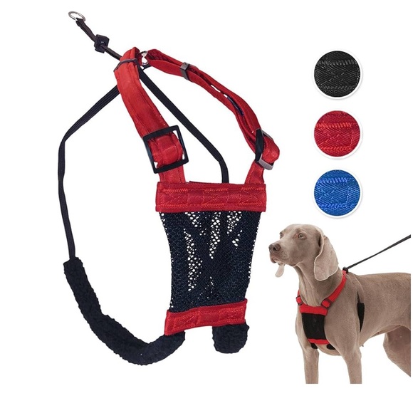 Sporn (Small) No Pull Dog Harness - Picture 6 of 10